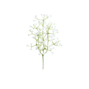 Brudslöja snittblomma vit/grön