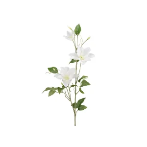 Clematis snittblomma vit 85 cm
